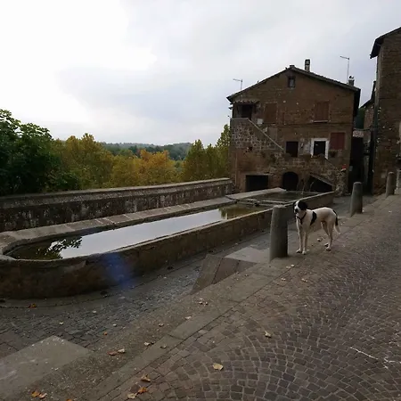 Nerone's - Bed & Better