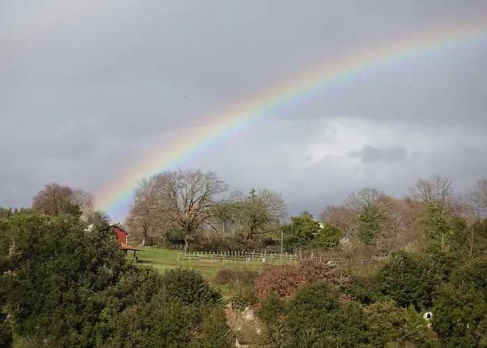 Nerone's - Bed & Better Sutri