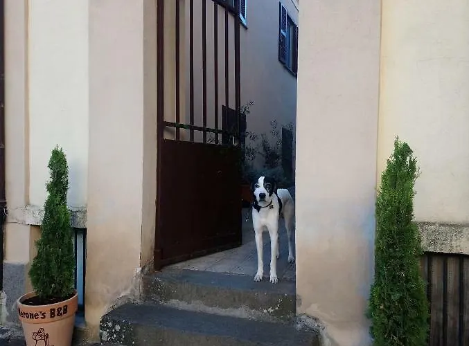 Nerone's - Bed & Better Sutri