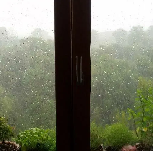 Bed and Breakfast Nerone's - Bed & Better 4*