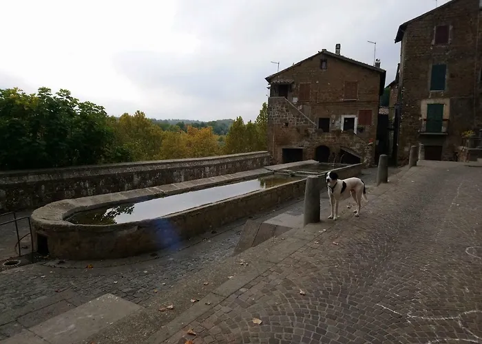 Nerone's - Bed & Better